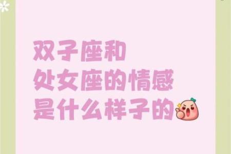 双子座女和处女座男(双子座女和处女座男配吗)