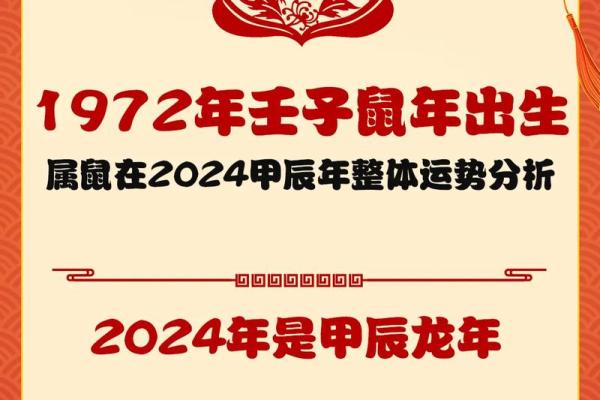 1972年属鼠男2025年运势完整版 1972年属鼠男2025年运势完整版