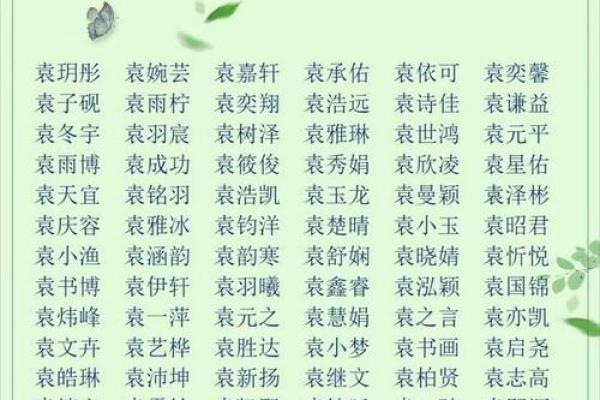 2019年3月19号寅时出生的男孩应该起什么样的名字姓名