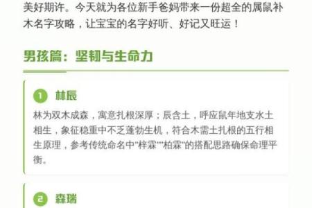 中午出生的属鼠男孩应该如何取名姓名