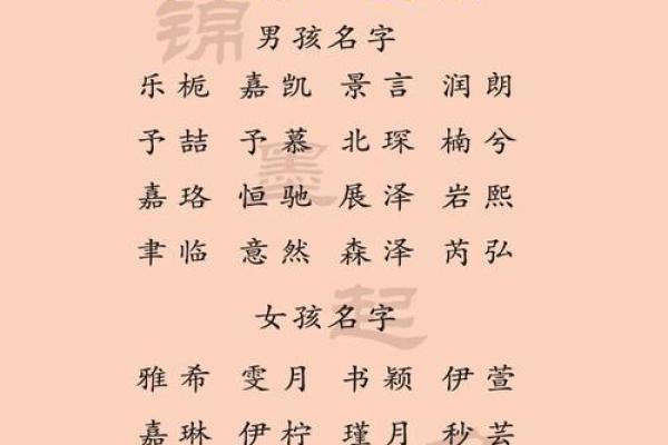 兔年男孩子起名字大全-兔年起名字姓名