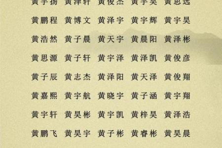 2019年3月27号辛时出生的男孩应该起什么样的名字姓名