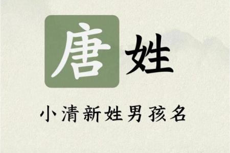 唐姓女孩名字大全-唐姓女孩起名字大全-唐姓名字大全姓名