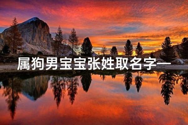 晚上八点出生的属狗男孩如何取名，宜用什么字姓名