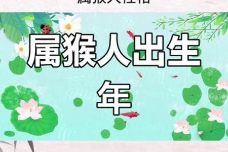 怎样给属猴辰时出生的男孩起名字姓名