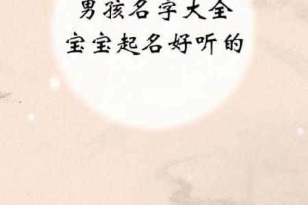 上午出生属兔的男孩应该怎么样取名字呢姓名