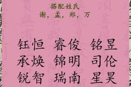 2019年6月30号卯时出生的男孩起名时要注意什么姓名