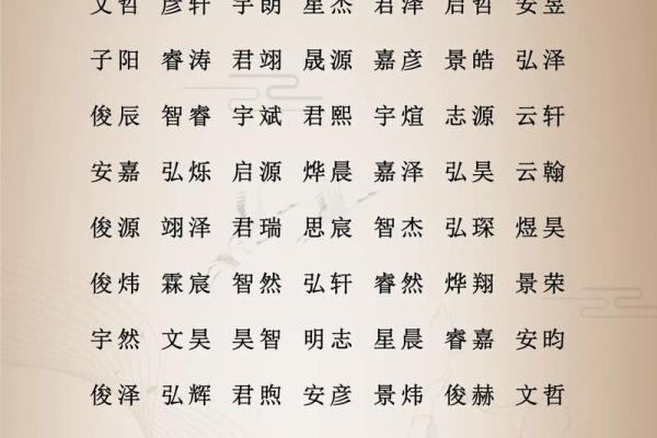 半夜出生的属狗男孩怎么取名，宜用什么字姓名