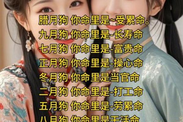 半夜出生的属狗男孩怎么取名，宜用什么字姓名