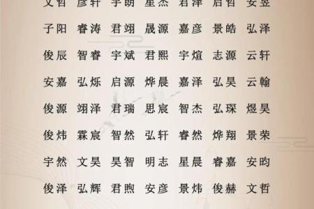 半夜出生的属狗男孩怎么取名，宜用什么字姓名