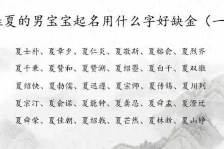 夏姓男孩名字大全-夏姓男孩起名字大全-夏姓名字大全姓名