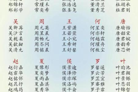 2019年4月8号卯时出生的男孩应该起什么样的名字姓名