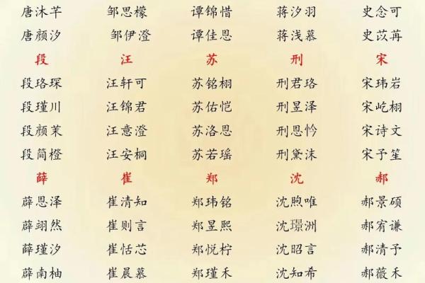 凌晨2点出生的属蛇男孩如何起名合适姓名