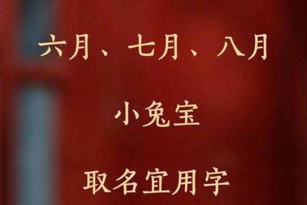 8月份出生的属兔男孩要怎样取名姓名