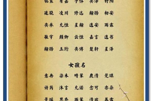8月份出生的属兔男孩要怎样取名姓名