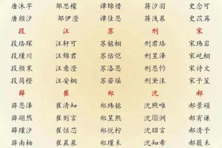 凌晨2点出生的属蛇男孩如何起名合适姓名