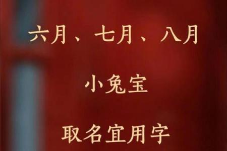 8月份出生的属兔男孩要怎样取名姓名