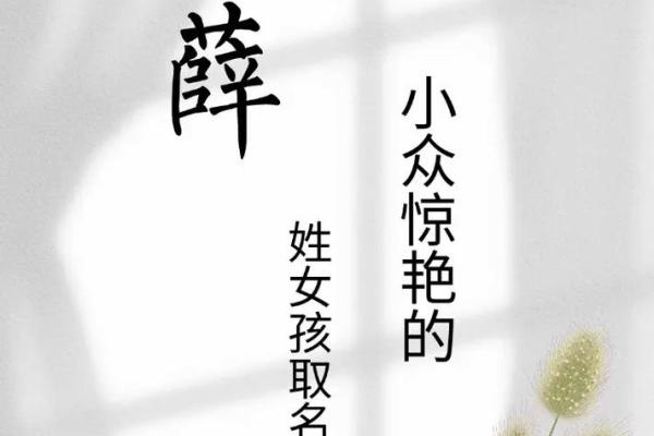 薛姓男孩名字大全-薛姓男孩起名字大全-薛姓名字大全姓名