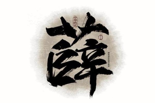 薛姓男孩名字大全-薛姓男孩起名字大全-薛姓名字大全姓名