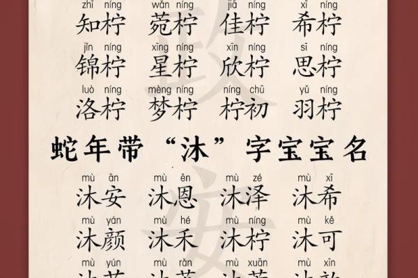 怎样给蛇辛时出生的男孩应该起名，宜用什么字姓名