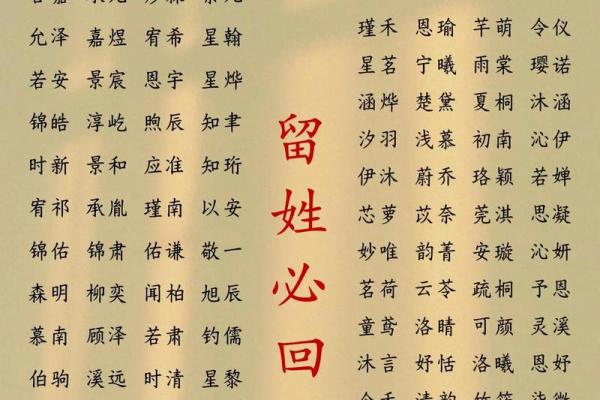 怎样给属狗戍时出生的男孩起名，宜用什么字姓名