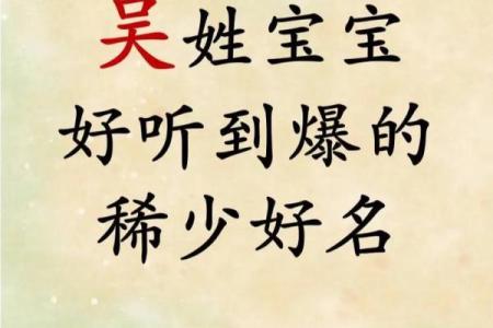 2019年出生的姓吴男孩如何起名，宜用什么字姓名