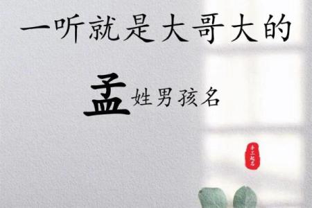 孟姓男孩名字大全-孟姓男孩起名字大全-孟姓名字大全姓名