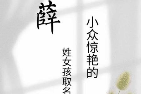 薛姓男孩名字大全-薛姓男孩起名字大全-薛姓名字大全姓名
