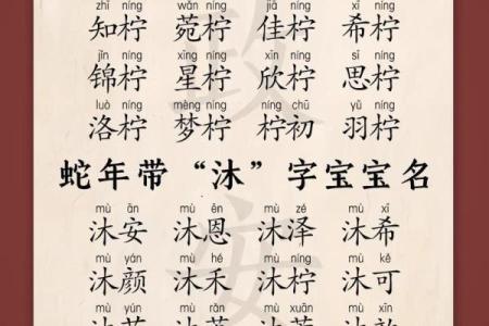 怎样给蛇辛时出生的男孩应该起名，宜用什么字姓名