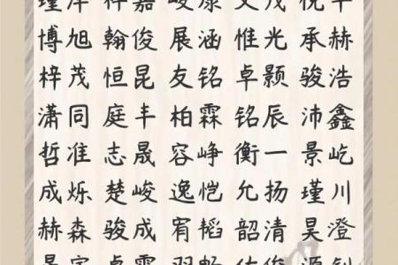 怎样给属狗戍时出生的男孩起名，宜用什么字姓名