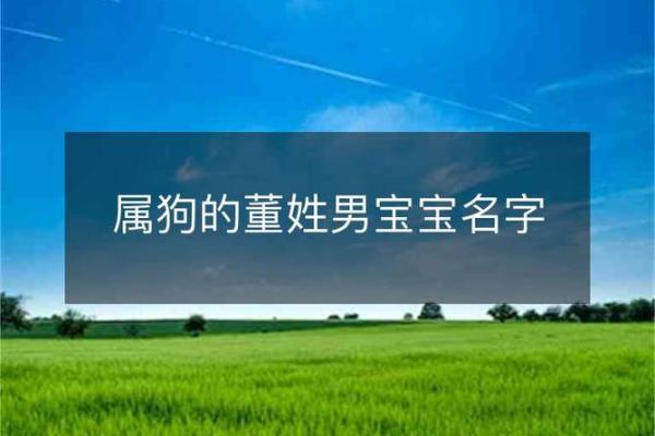 早上出生的属狗男孩怎么取名 ，宜用什么字姓名