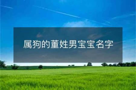 早上出生的属狗男孩怎么取名 ，宜用什么字姓名