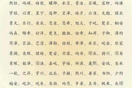 2019年6月10号丑时出生的男孩应该起什么样的名字姓名