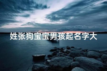早上八点出生的属狗男孩怎么取名，用什么字好姓名