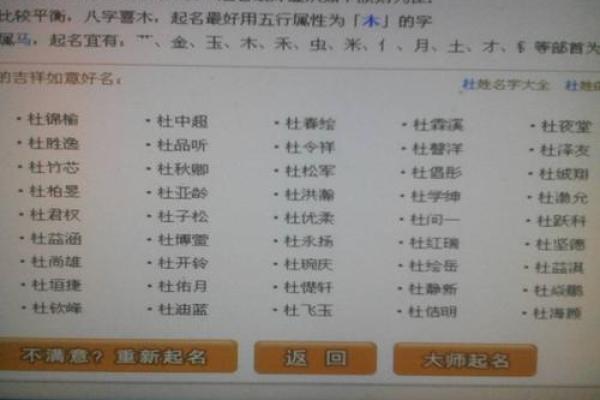 杜姓男孩名字大全-杜姓男孩起名字大全-杜姓名字大全姓名