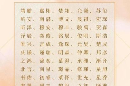 2019年3月18号子时出生的男孩应该起什么样的名字姓名