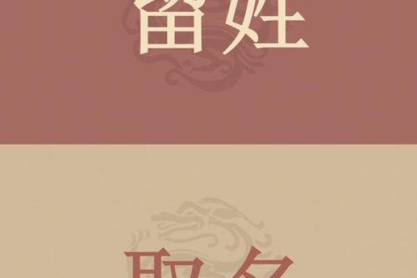 傅姓女孩名字大全-傅姓女孩起名字大全-傅姓名字大全姓名