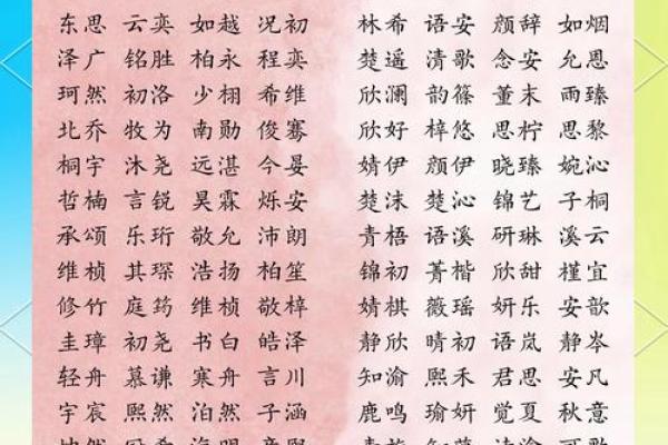 童装店起名大全-童装店取名大全-名字大全-姓名学-华易算命网姓名