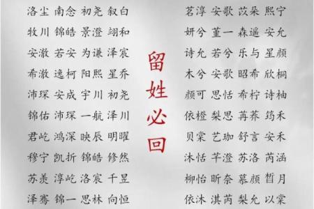 2019年4月7号辰时出生的男孩应该起什么样的名字姓名